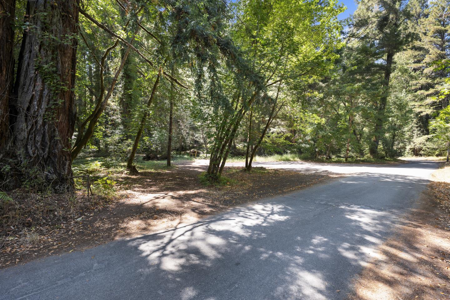 8400 Tyrone Road Monte Rio, CA 95462 - Photo 5 of 61 Gallery Image 5