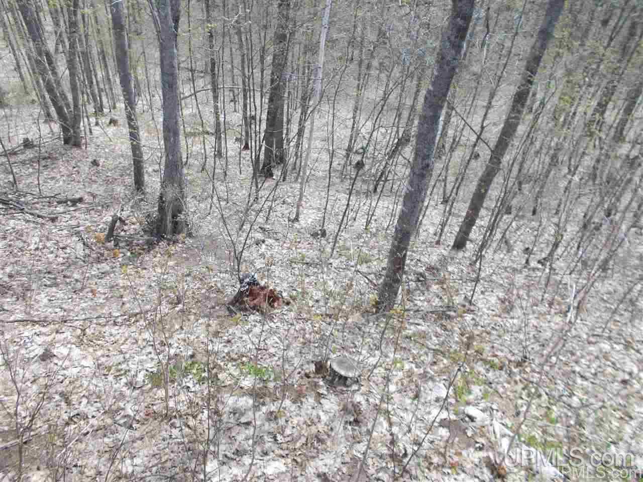 80-acres Triple A Road Ishpeming, MI 49849 - Photo 26 of 28