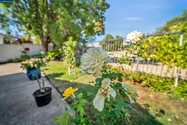 $698,500 | 441 Apple Hill Drive, Brentwood, CA 94513