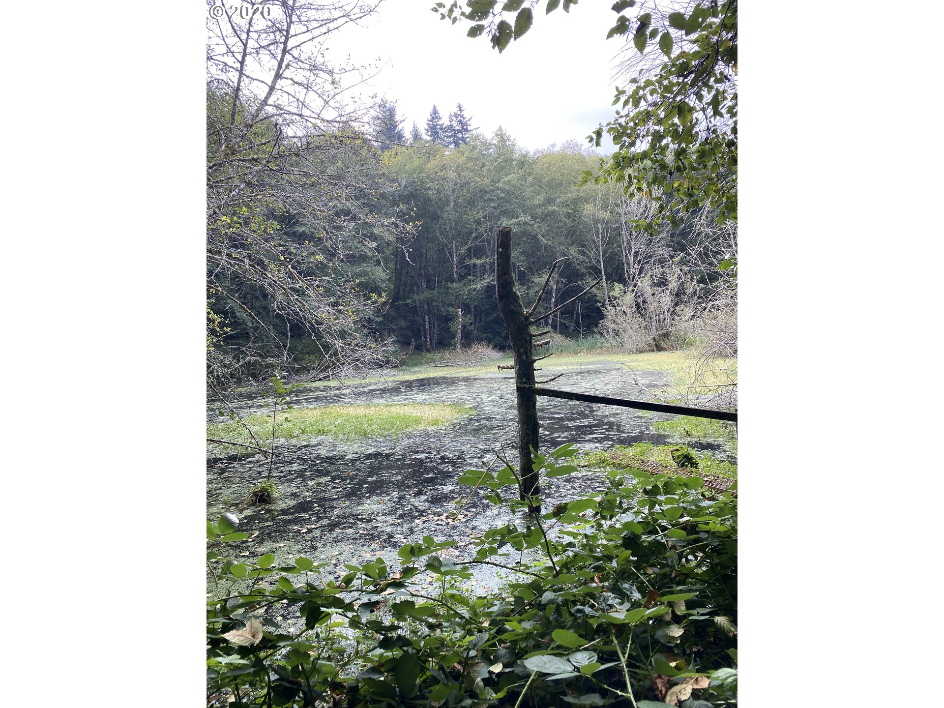 10935 Colvin Road Clatskanie, OR 97016 - Photo 2 of 12 Gallery Image 2