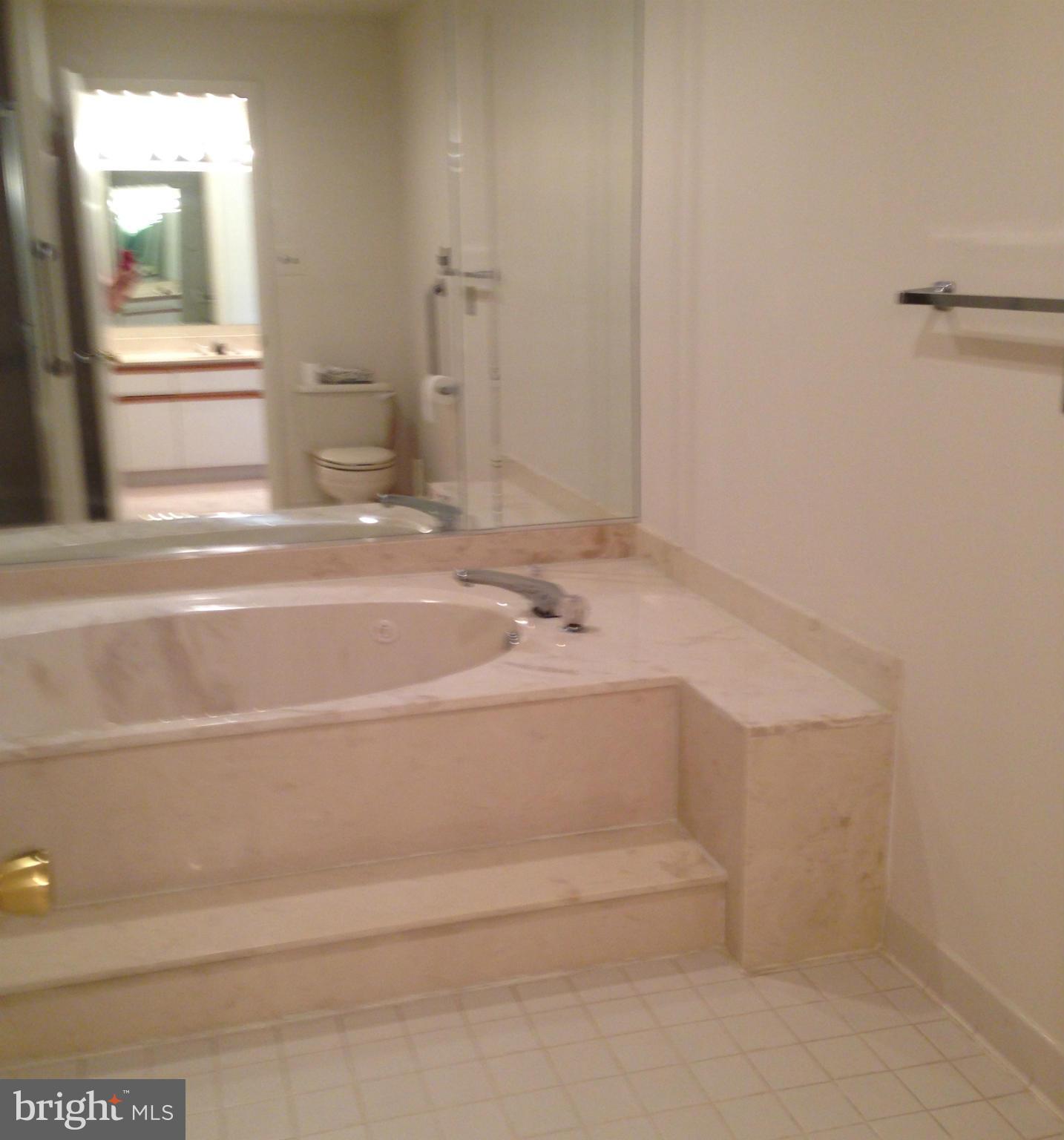 3021 Fallstaff Road, Unit 301B Baltimore, MD 21209 - Photo 11 of 14 Bath (Master)