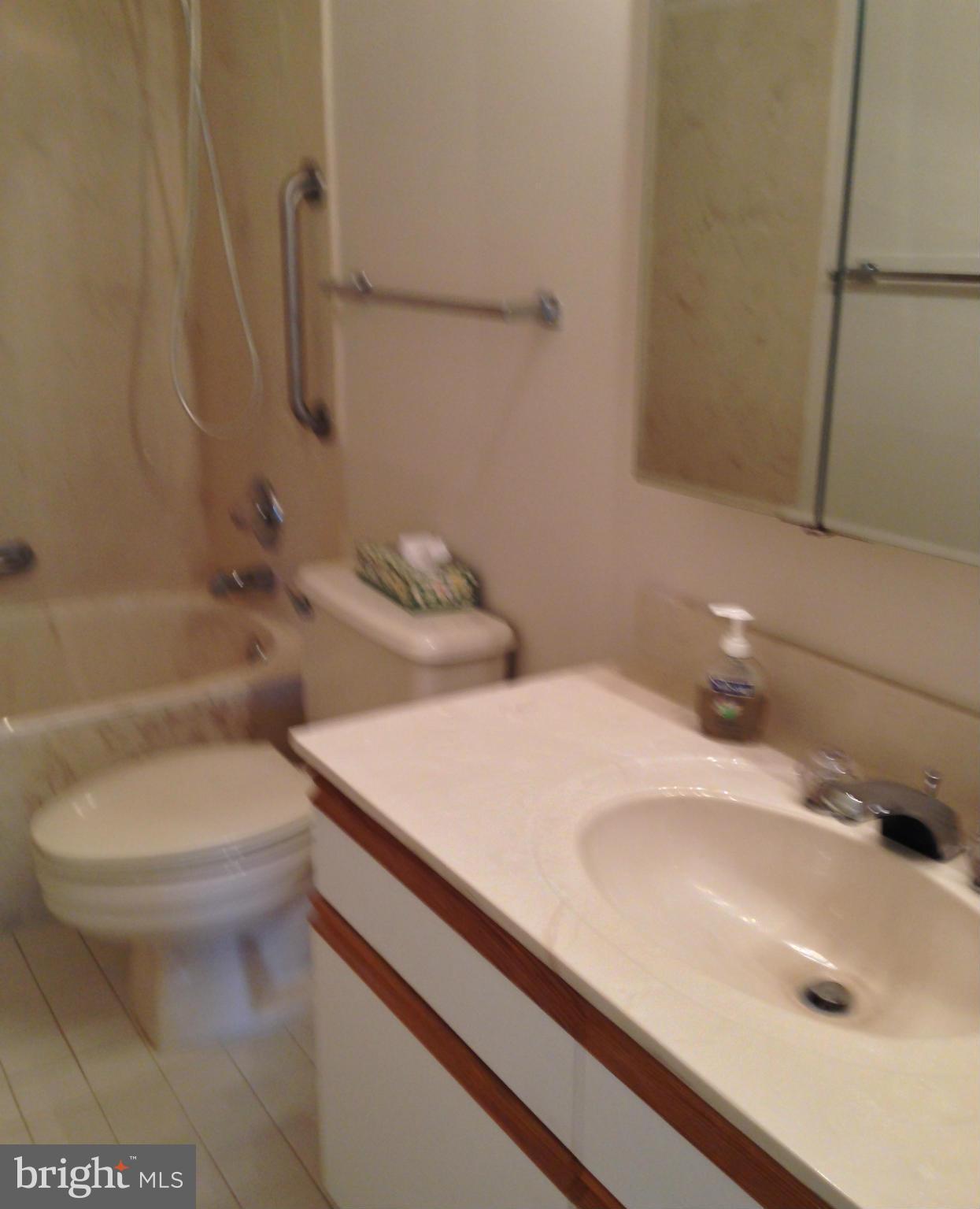 3021 Fallstaff Road, Unit 301B Baltimore, MD 21209 - Photo 8 of 14 Bath