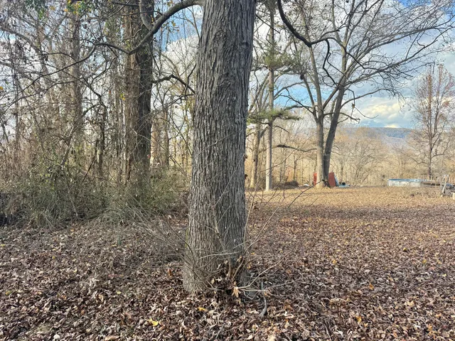 $232,400 | 230 West Francis Spring Road, Whitwell, TN 37397