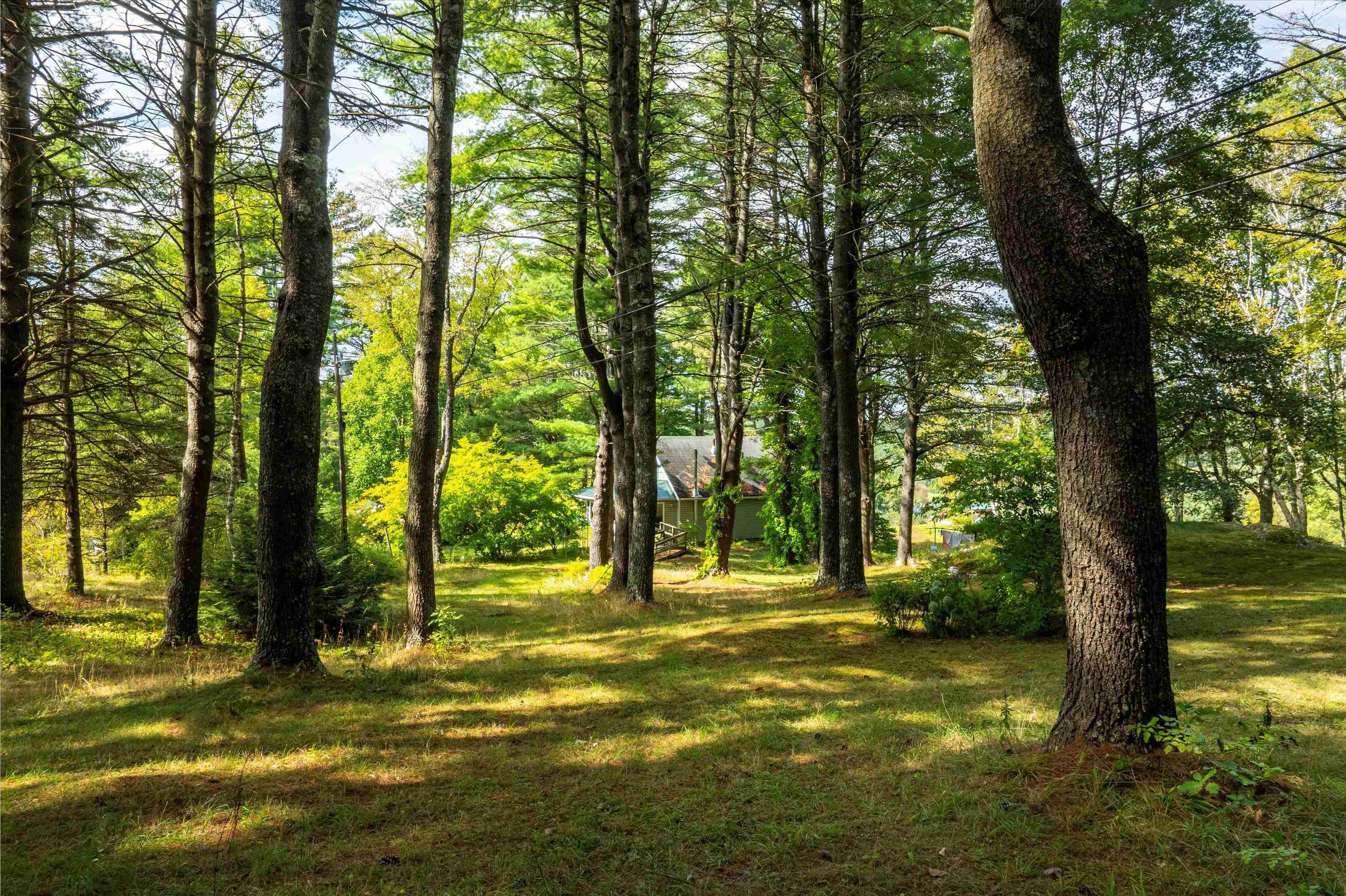 56 Mt Hunger Road Hartland, VT 05048 - Photo 28 of 52