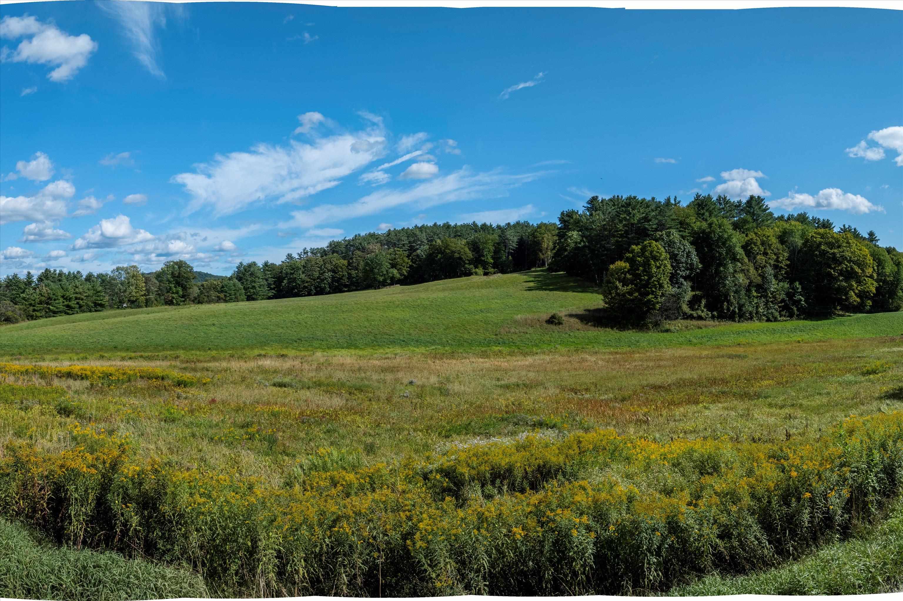 56 Mt Hunger Road Hartland, VT 05048 - Photo 3 of 52