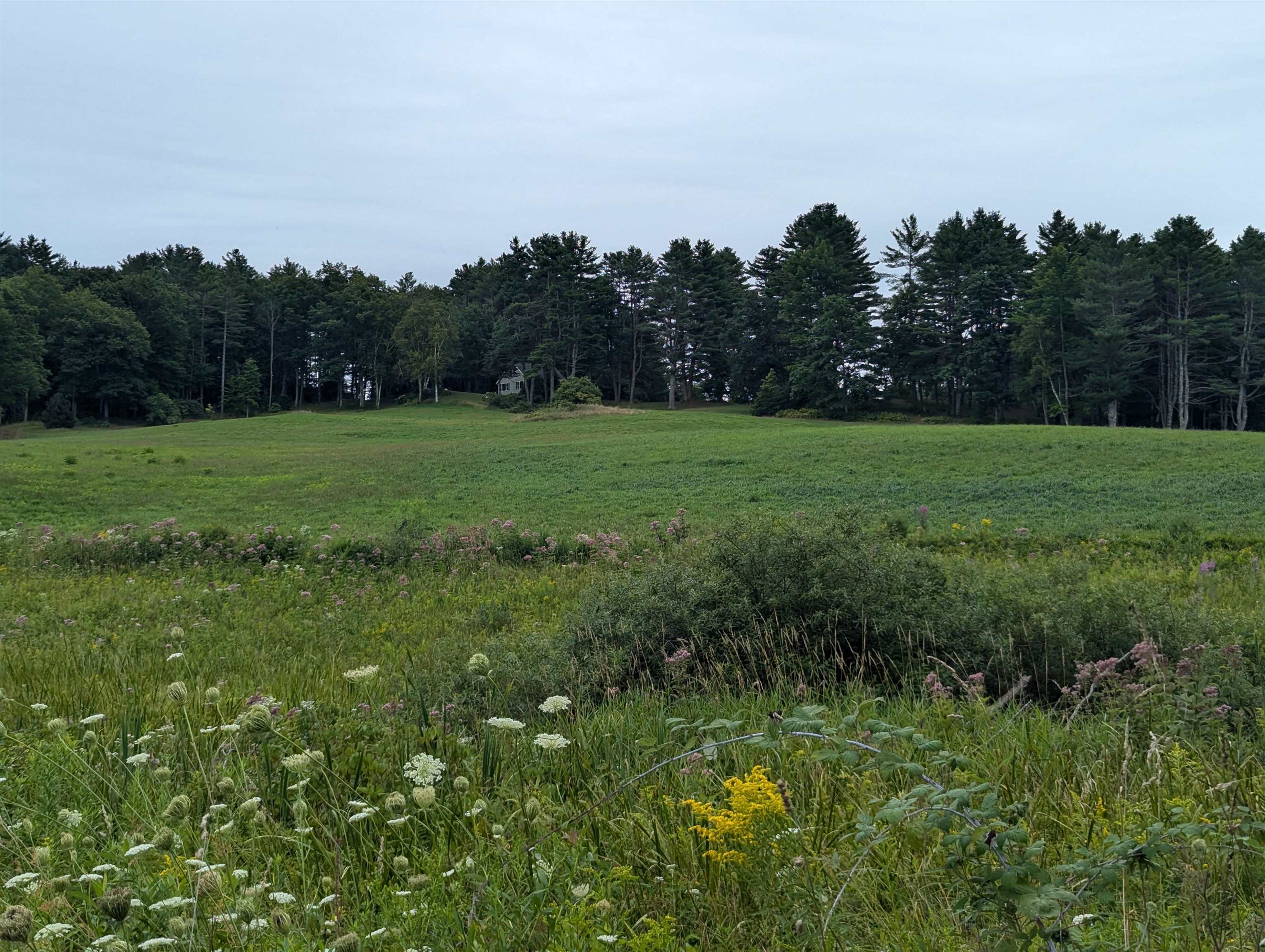 56 Mt Hunger Road Hartland, VT 05048 - Photo 31 of 52