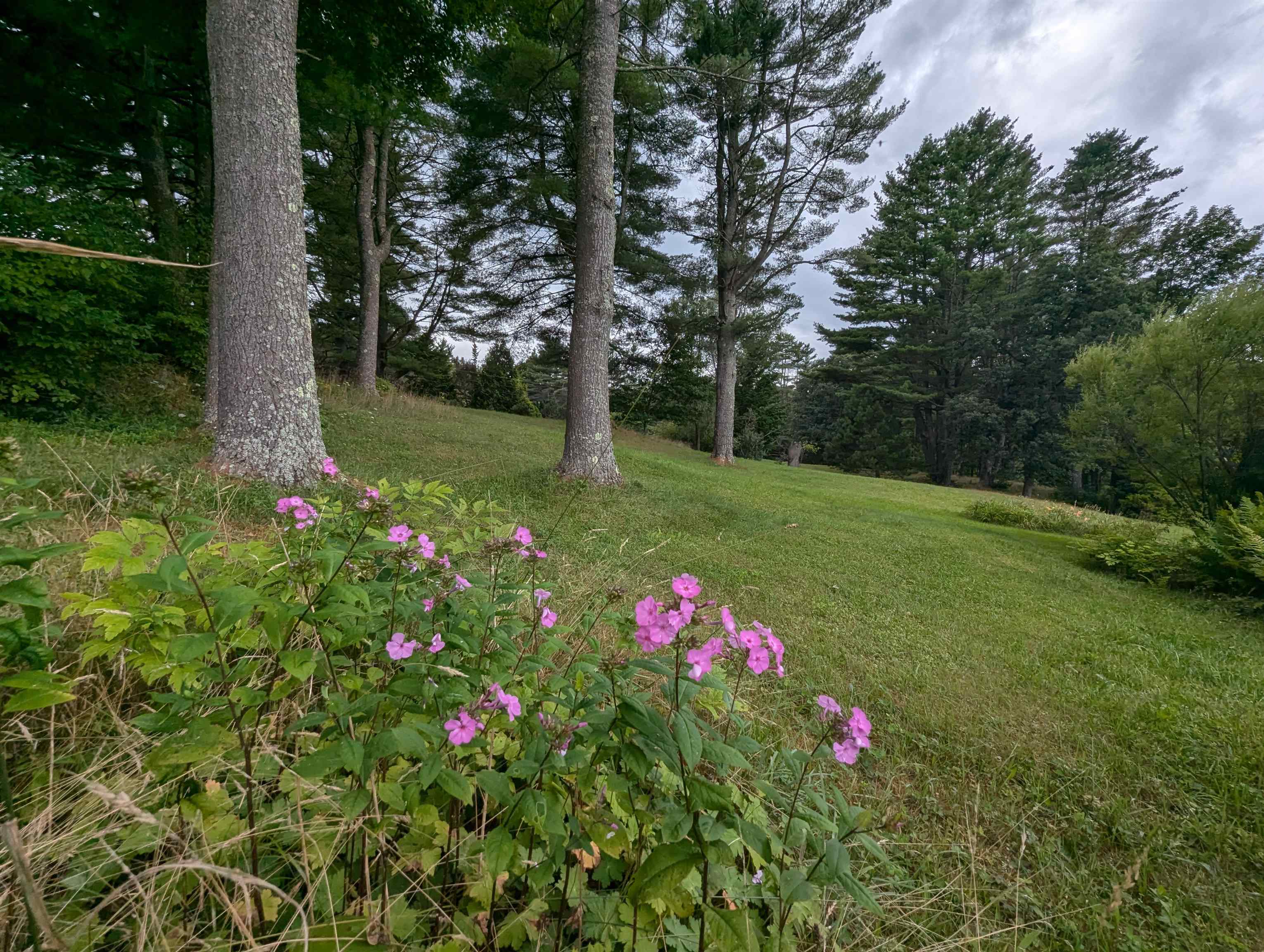 56 Mt Hunger Road Hartland, VT 05048 - Photo 35 of 52