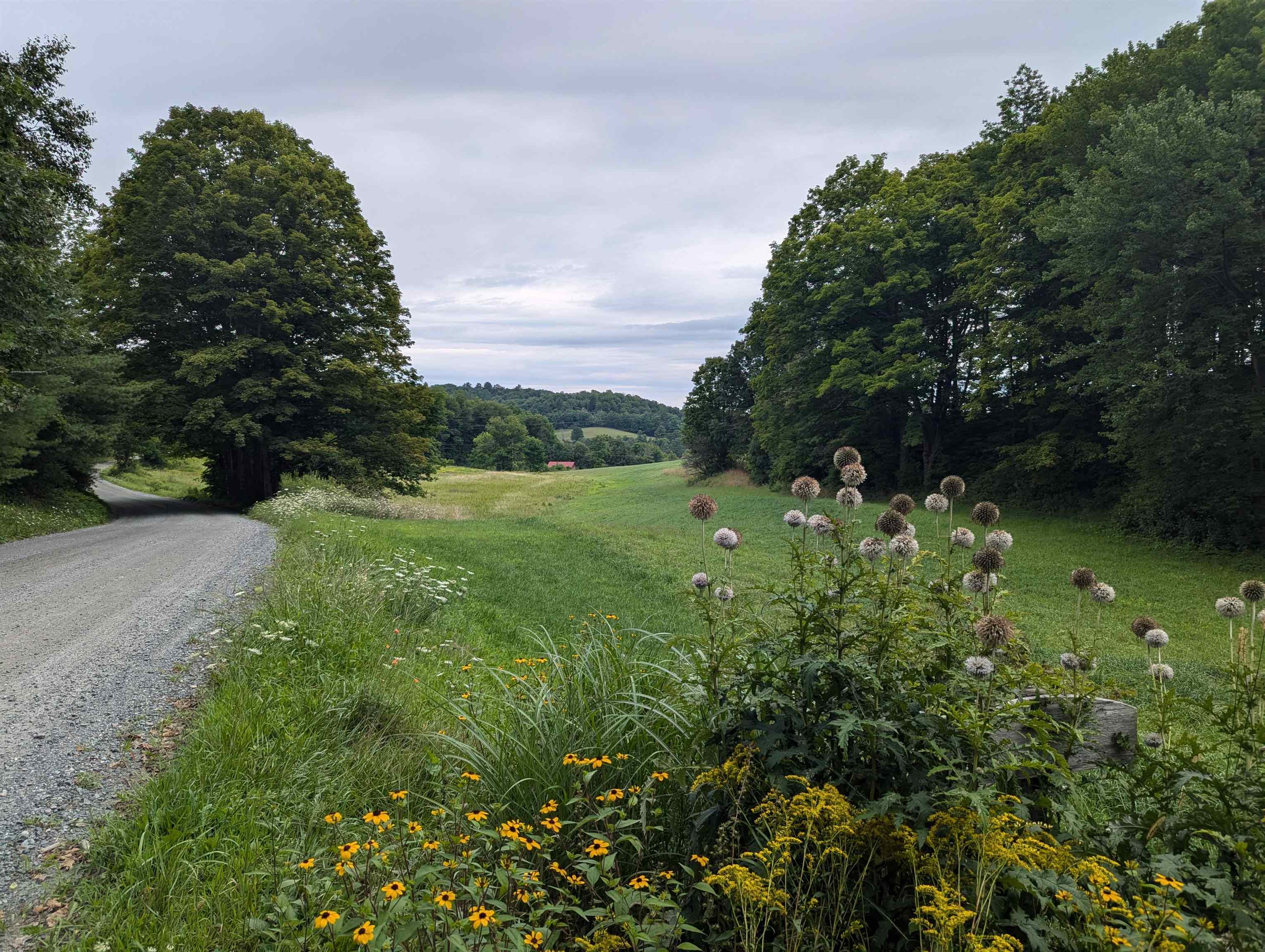 56 Mt Hunger Road Hartland, VT 05048 - Photo 37 of 52