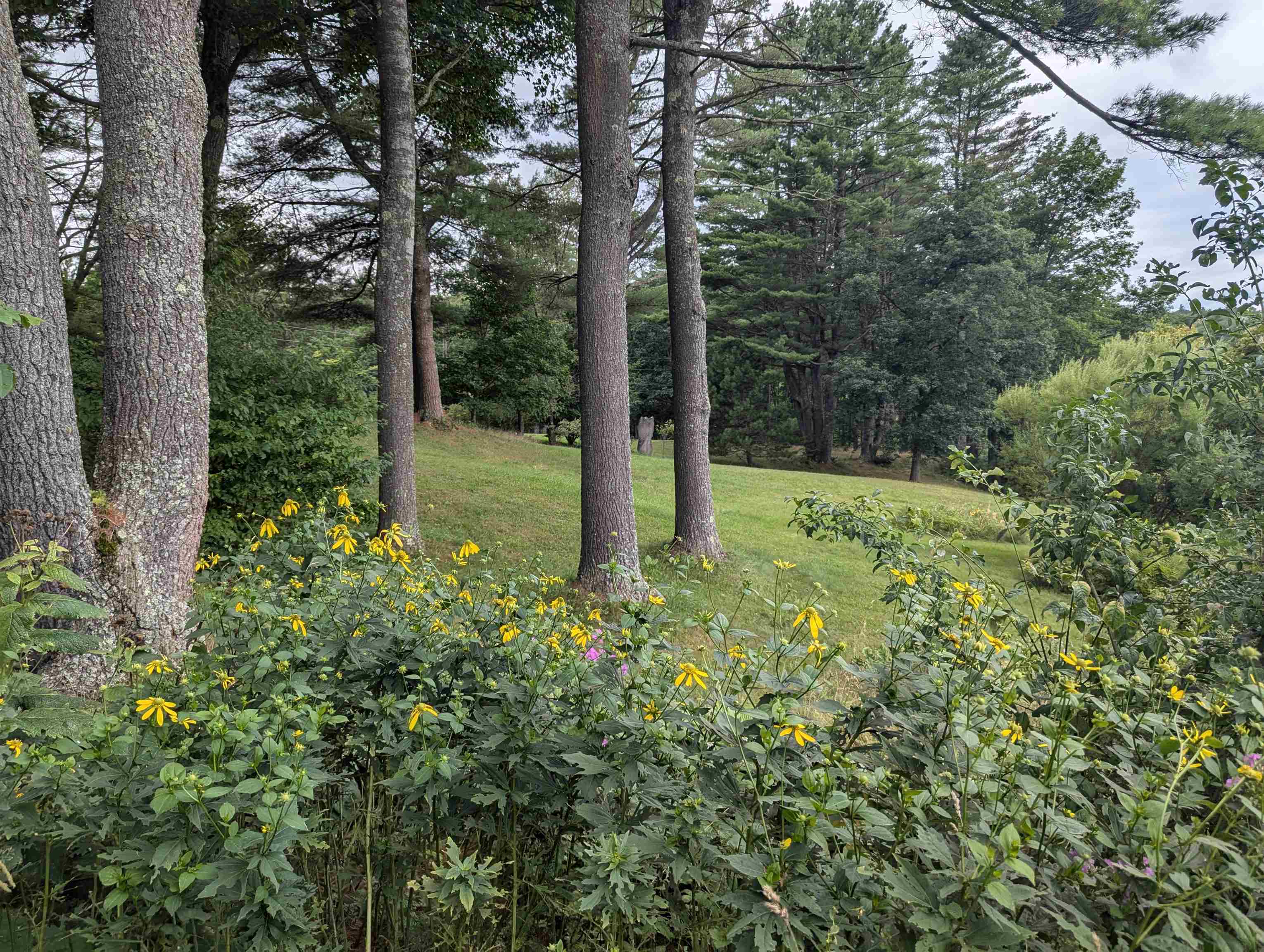 56 Mt Hunger Road Hartland, VT 05048 - Photo 39 of 52