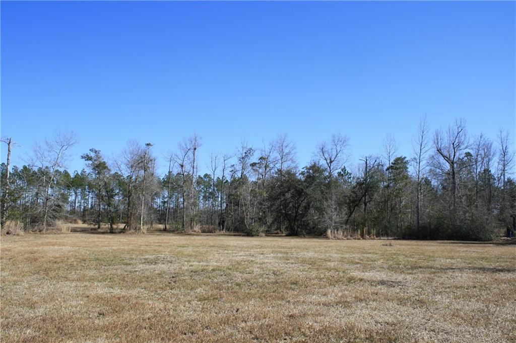 65479 Dixie Ranch Road Lacombe, LA 70445 - Photo 1 of 3 Gallery Image 1