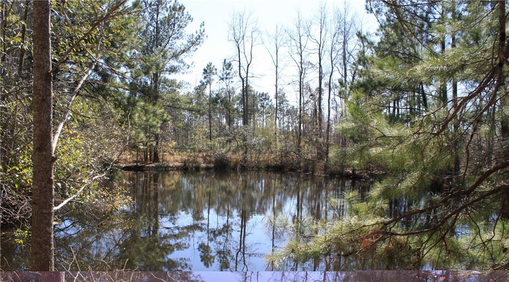 65479 Dixie Ranch Road Lacombe, LA 70445 - Photo 2 of 3 Gallery Image 2