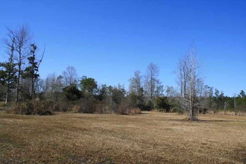 65479 Dixie Ranch Road Lacombe, LA 70445 - Photo 3 of 3 Gallery Image 3