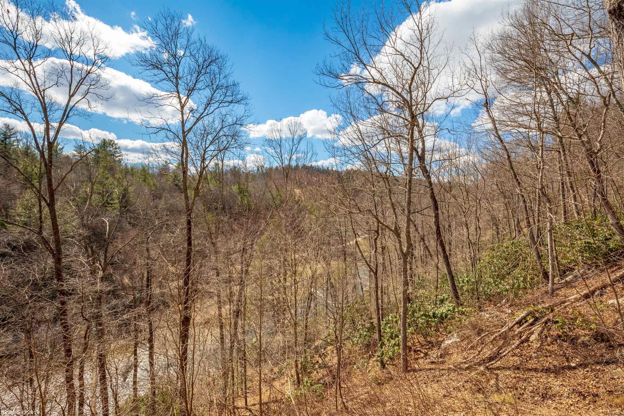 672 Marian Road Dugspur, VA 24325 - Photo 59 of 87 Gallery Image 59