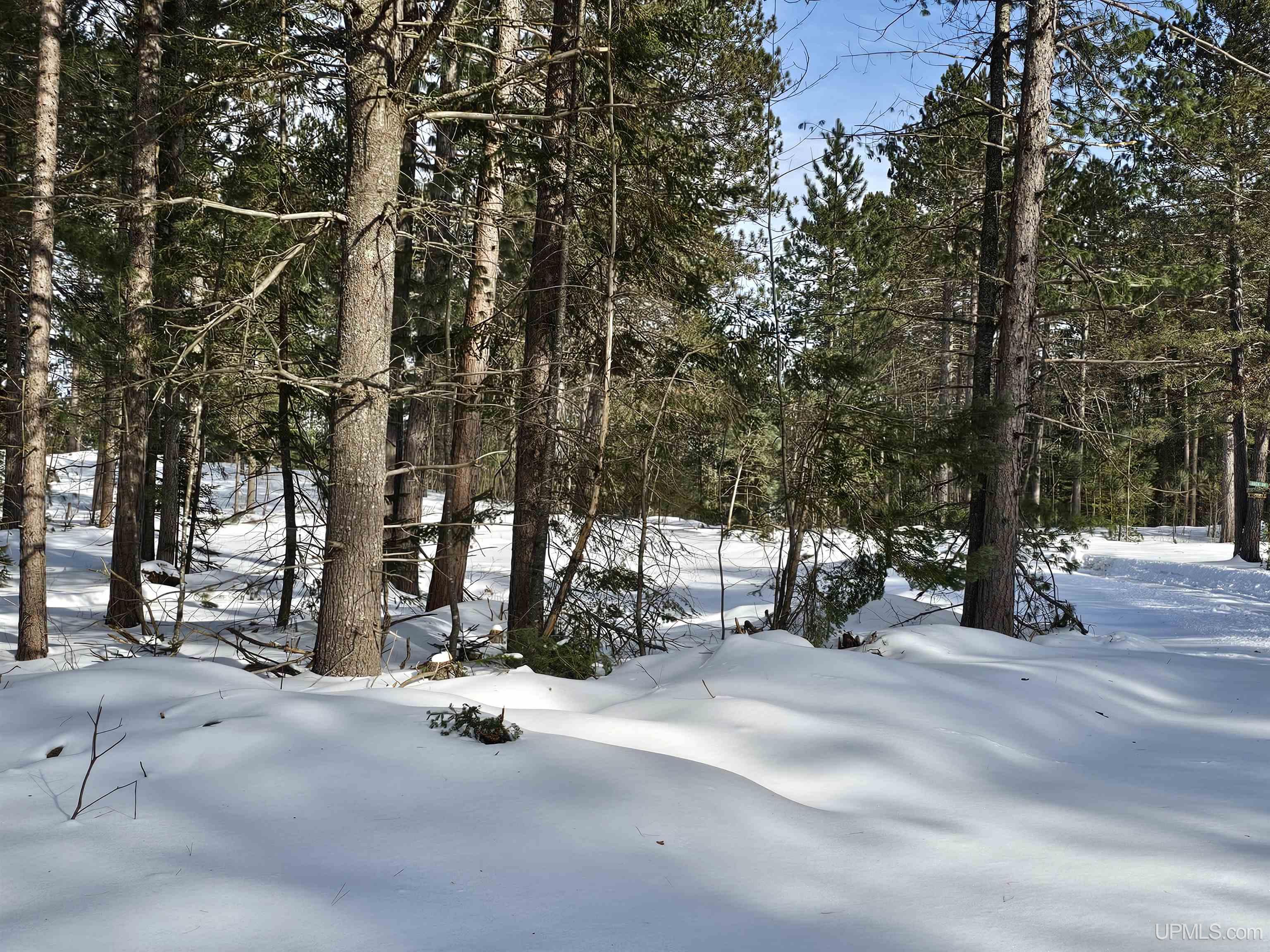 220 Acres Off Co Road Negaunee, MI 49866 - Photo 2 of 9