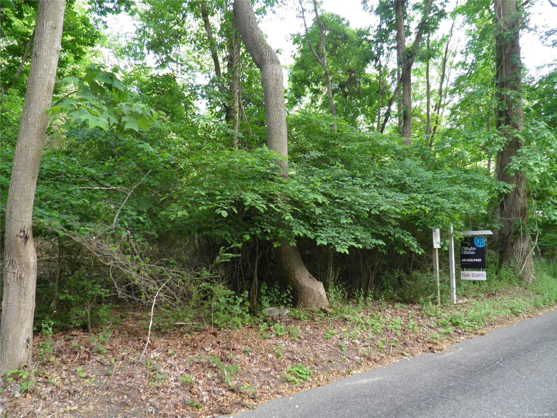 Old Mill Road Road St. James, NY 11780 - Photo 1 of 1 Gallery Image 1