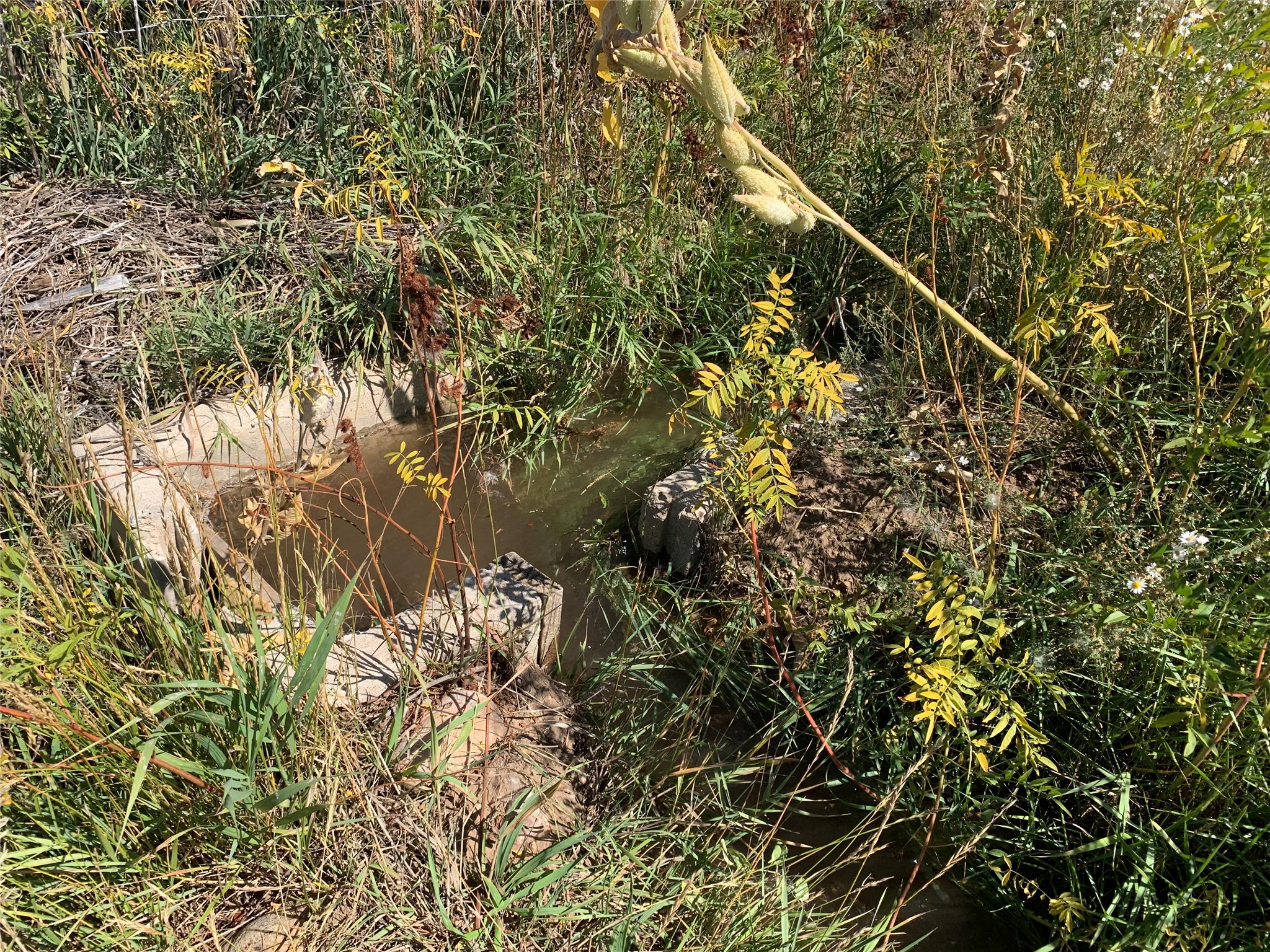 0 Roybal Road Penasco, NM 87553 - Photo 6 of 6