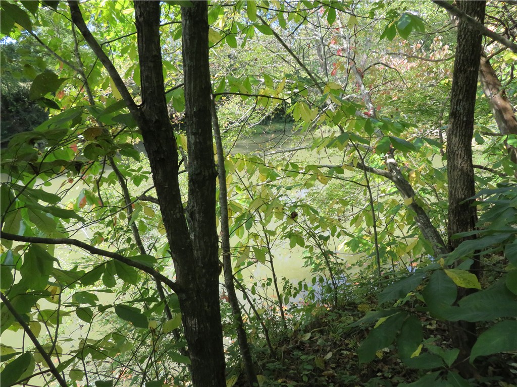 748 Inlow Avenue Peebles, OH 45660 - Photo 53 of 61 Lush foliage frames tranquil water, creating a serene natural boundary.