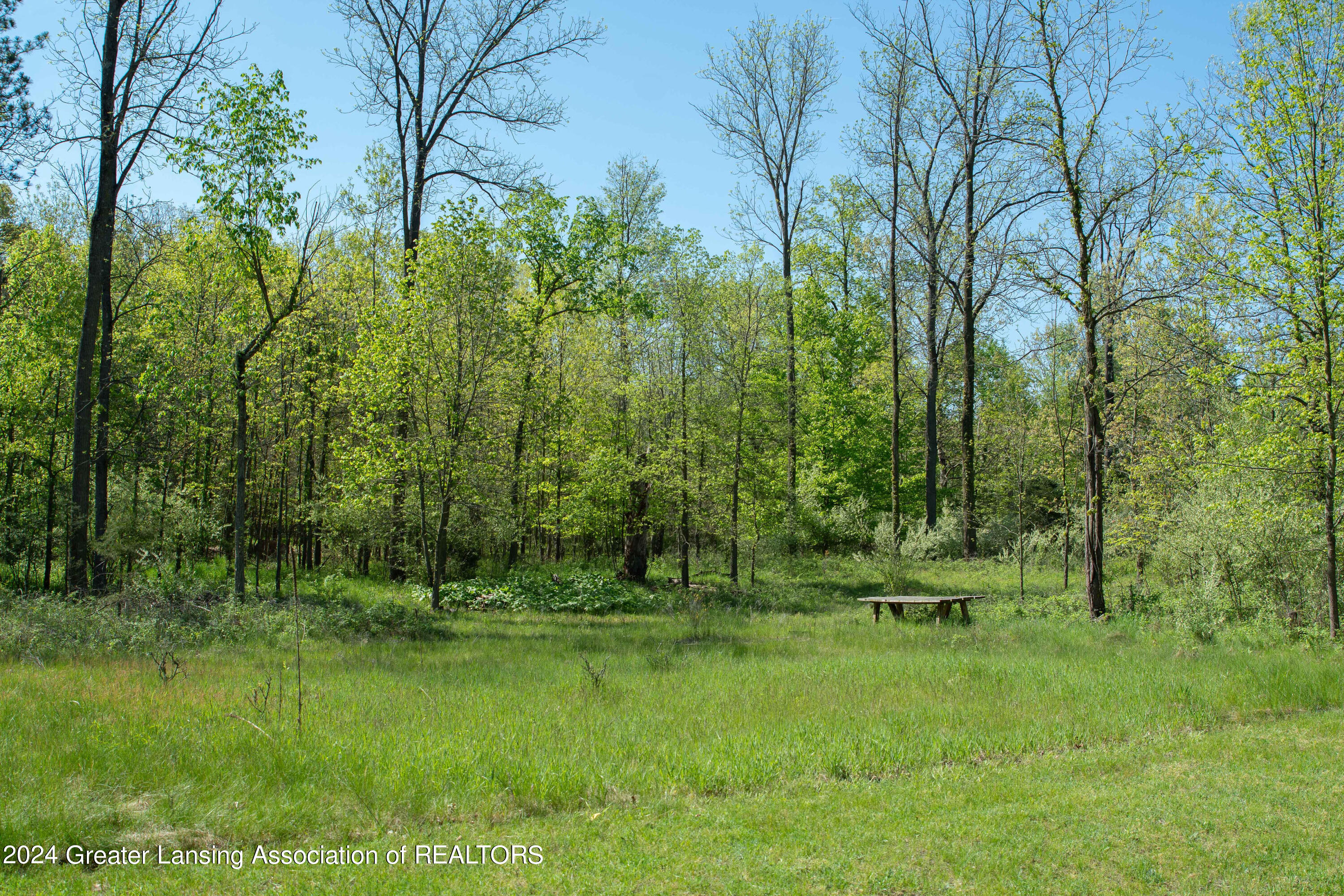 V/l Island Road Fowler, MI 48835 - Photo 2 of 16 KJP_9084copy