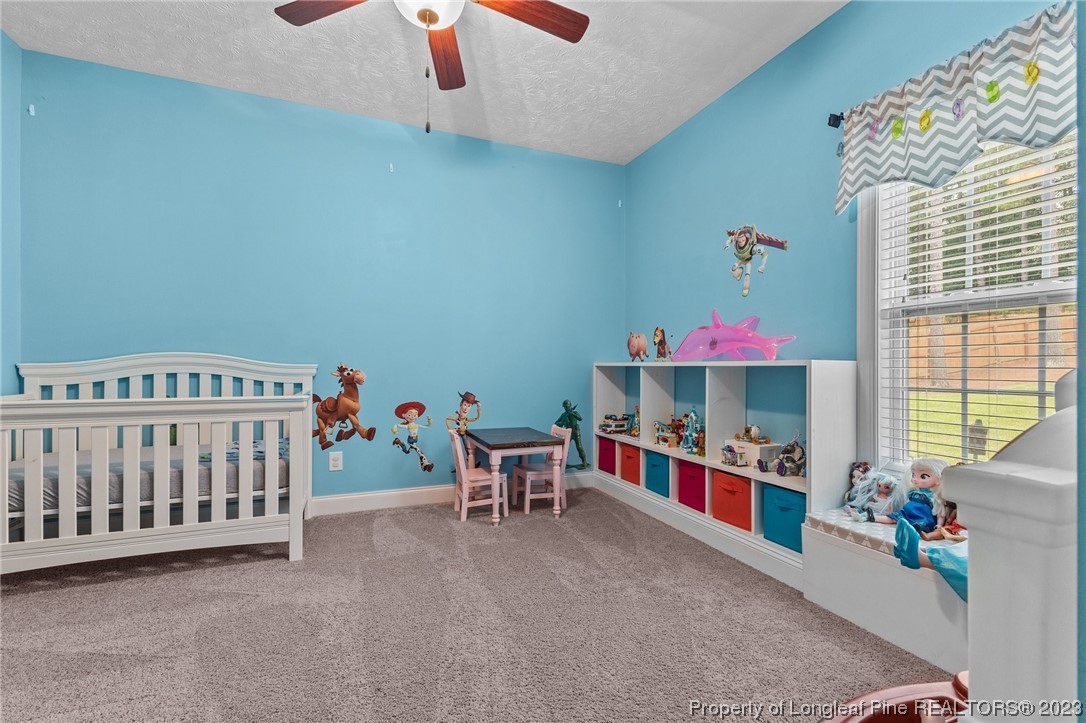 155 Dicks Hill Road Carthage, NC 28327 - Photo 20 of 47 a children room with toys and a baby crib