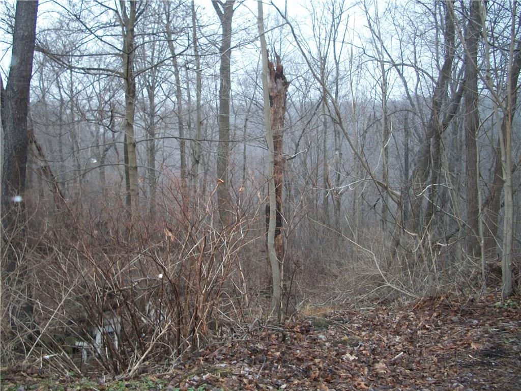 907 Freeport Road Natrona Heights, PA 15065 - Photo 16 of 17 Gallery Image 16