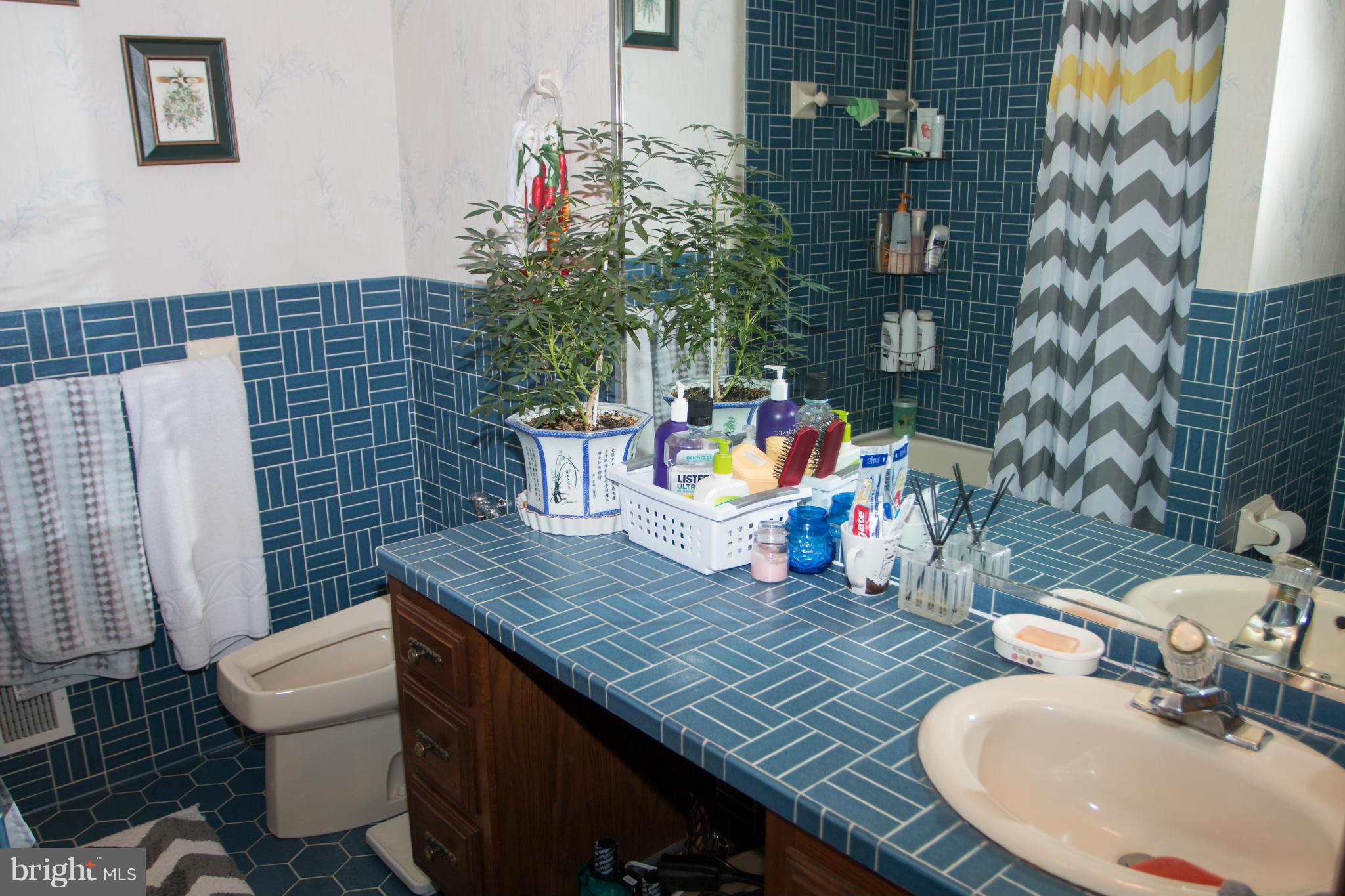 1303 Westburn Road Baltimore, MD 21228 - Photo 22 of 26 Bath