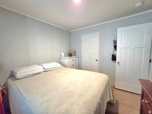 597 North State Street, Unit 67 Orem, UT 84057 - Photo 16 of 23 Bedroom with light carpet and crown molding