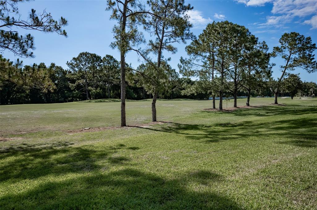 16023 Southwest 14th Avenue Road Ocala, FL 34473 - Photo 47 of 57 a view of a park with large trees