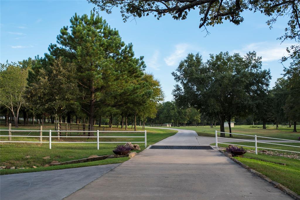 8905 Tbd Private Road, Unit 1036 Canton, TX 75103 - Photo 22 of 39 View of long drive