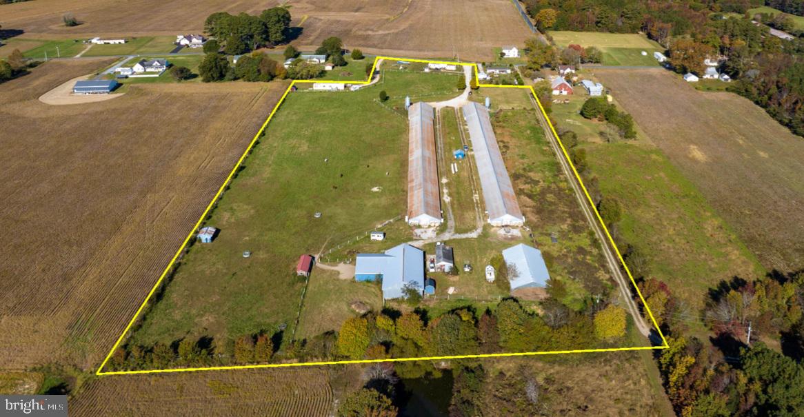 17311 Big Road Bloxom, VA 23308 - Photo 3 of 23