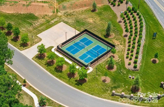 a view of a small yard