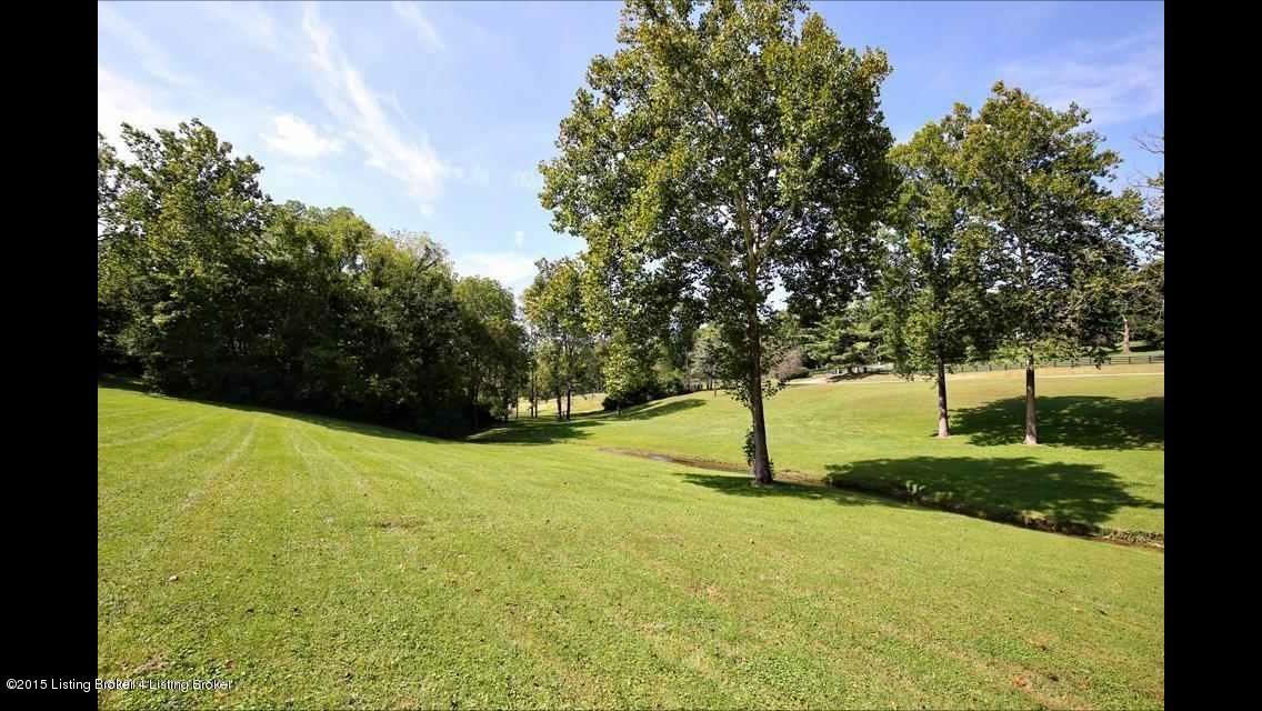 10320 Covered Bridge Road Prospect, KY 40059 - Photo 44 of 44 IMG_2671