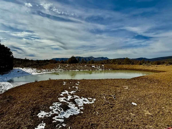 $1,695,000 | 3421 South Rockcliff Circle, Pagosa Springs, CO 81147