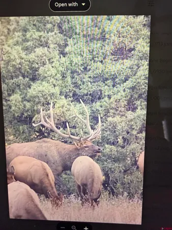 $1,695,000 | 3421 South Rockcliff Circle, Pagosa Springs, CO 81147