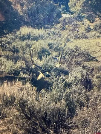 $1,695,000 | 3421 South Rockcliff Circle, Pagosa Springs, CO 81147