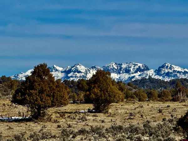 a view of a living room