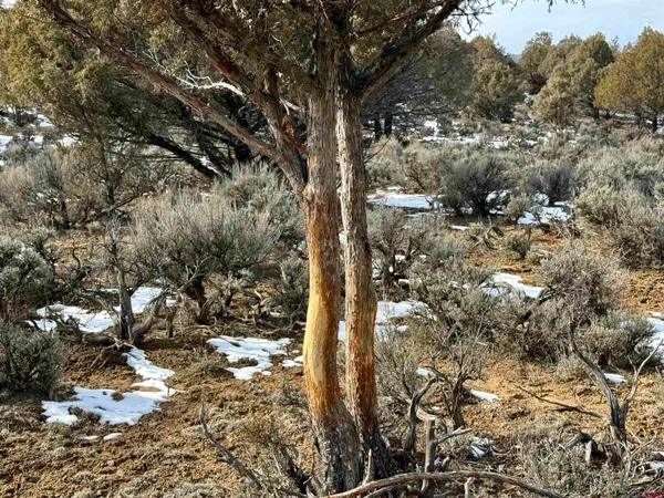 a view of a lake with a mountain