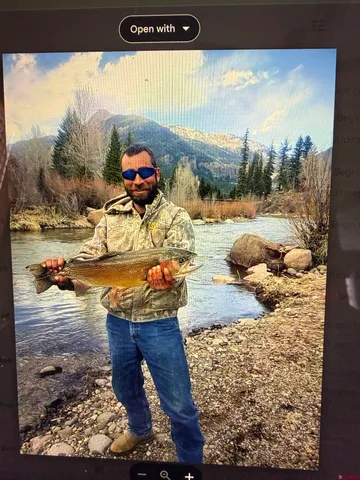 a view of a lake with a mountain