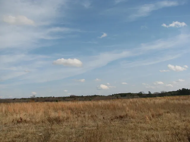 $320,000 | 0 Keystone Road, Dalzell, SC 29040