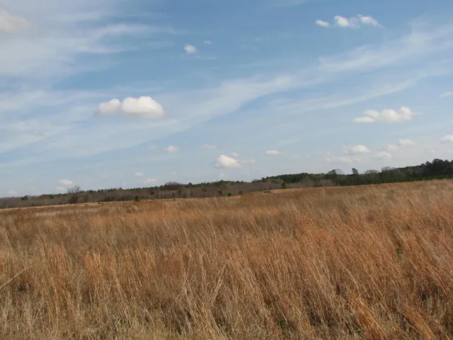 $320,000 | 0 Keystone Road, Dalzell, SC 29040