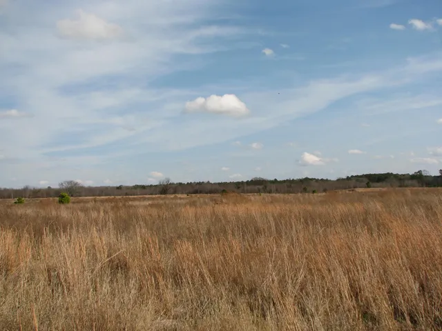 $320,000 | 0 Keystone Road, Dalzell, SC 29040