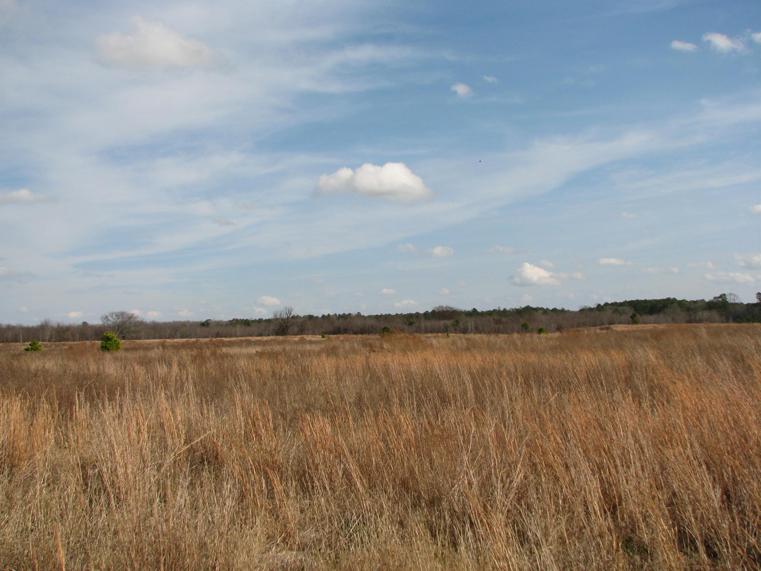 0 Keystone Road Dalzell, SC 29040 - Photo 9 of 11
