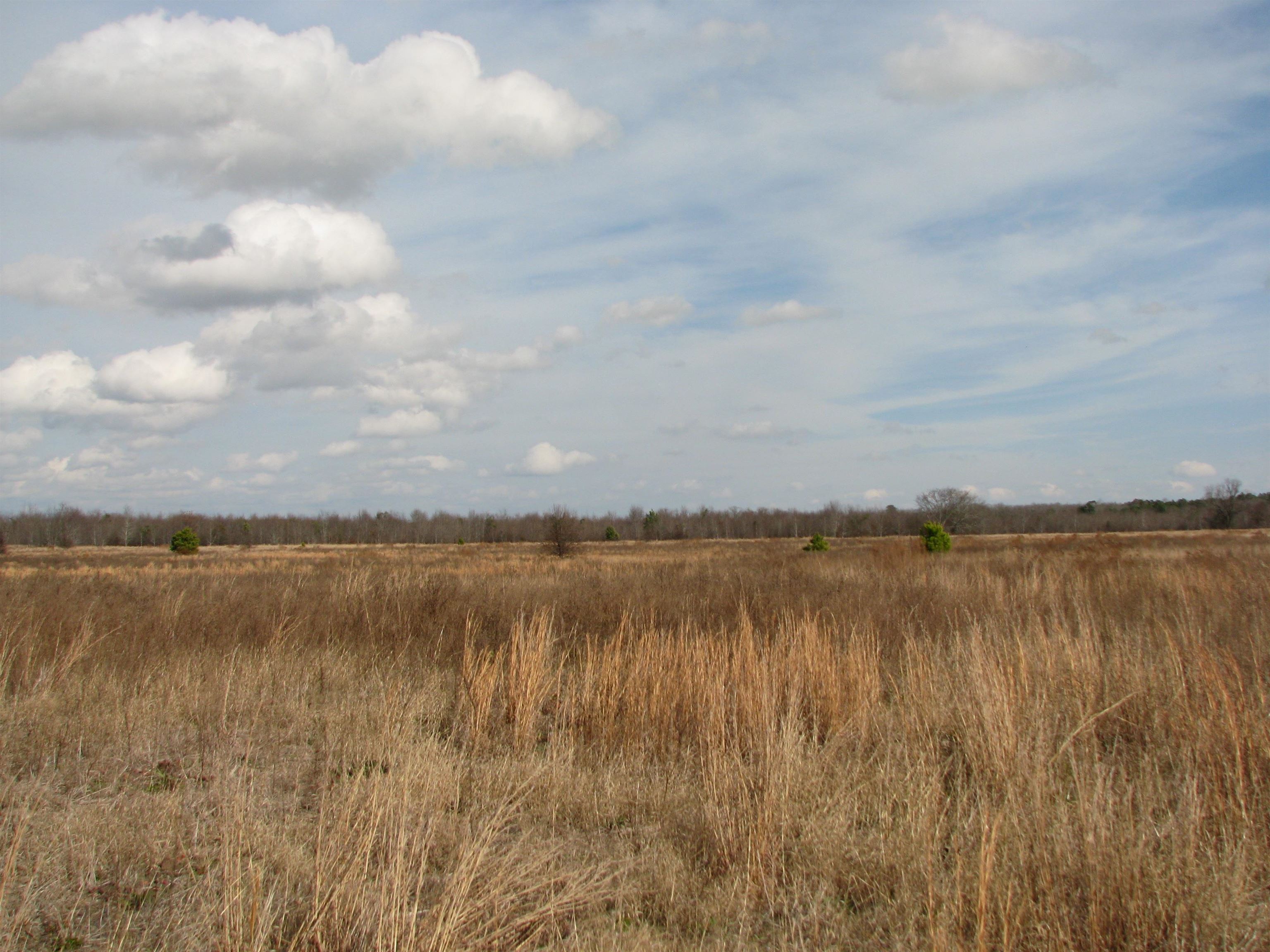0 Keystone Road Dalzell, SC 29040 - Photo 10 of 11