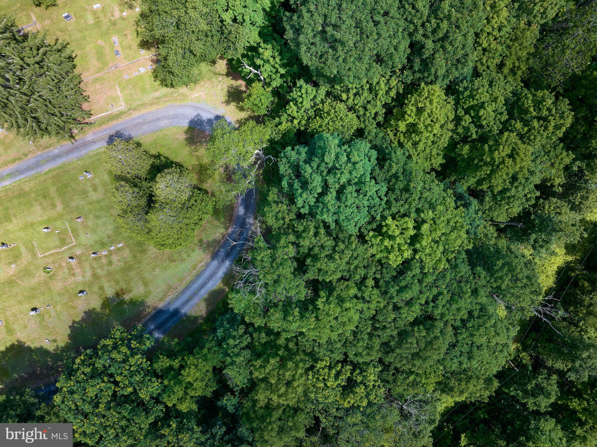 0 Peepaw Road Roaring Branch, PA 17765 - Photo 12 of 26