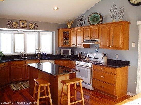 174 Bellshire Lane Rochester, MI 48307 - Photo 3 of 23 Kitchen w/Granite