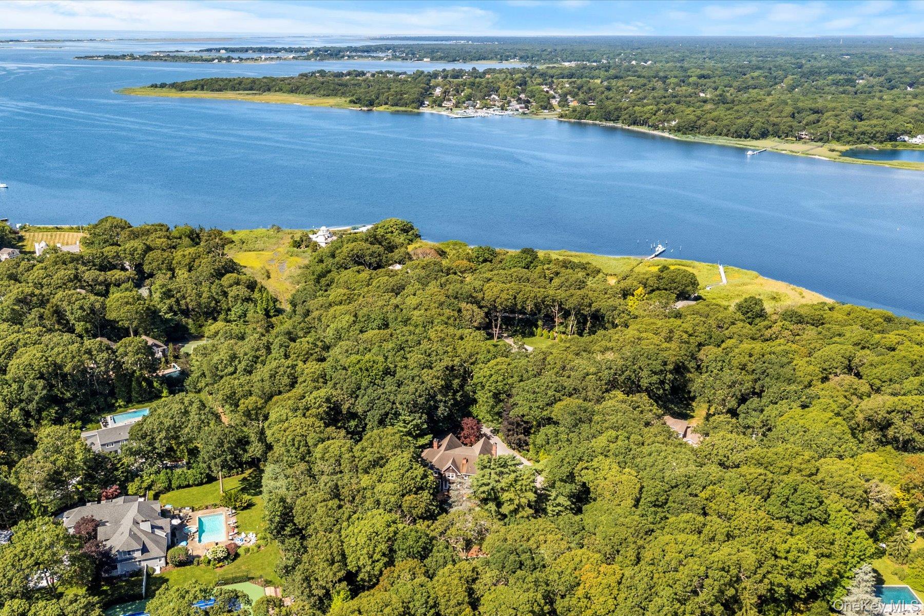 53 Cedar Lane West Remsenburg, NY 11960 - Photo 4 of 38 Aerial view of property's location with a forest and a large body of water