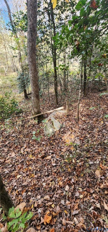 5031 Cromarty Road Powhatan, VA 23139 - Photo 4 of 9