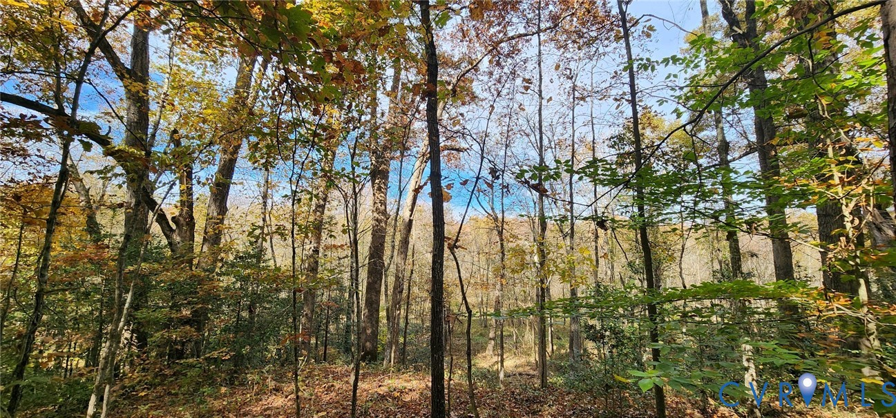 5031 Cromarty Road Powhatan, VA 23139 - Photo 5 of 9