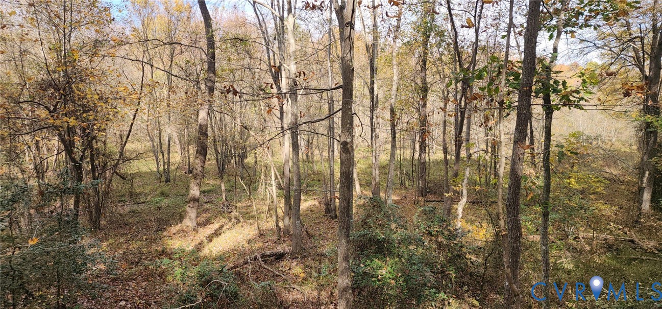 5031 Cromarty Road Powhatan, VA 23139 - Photo 6 of 9