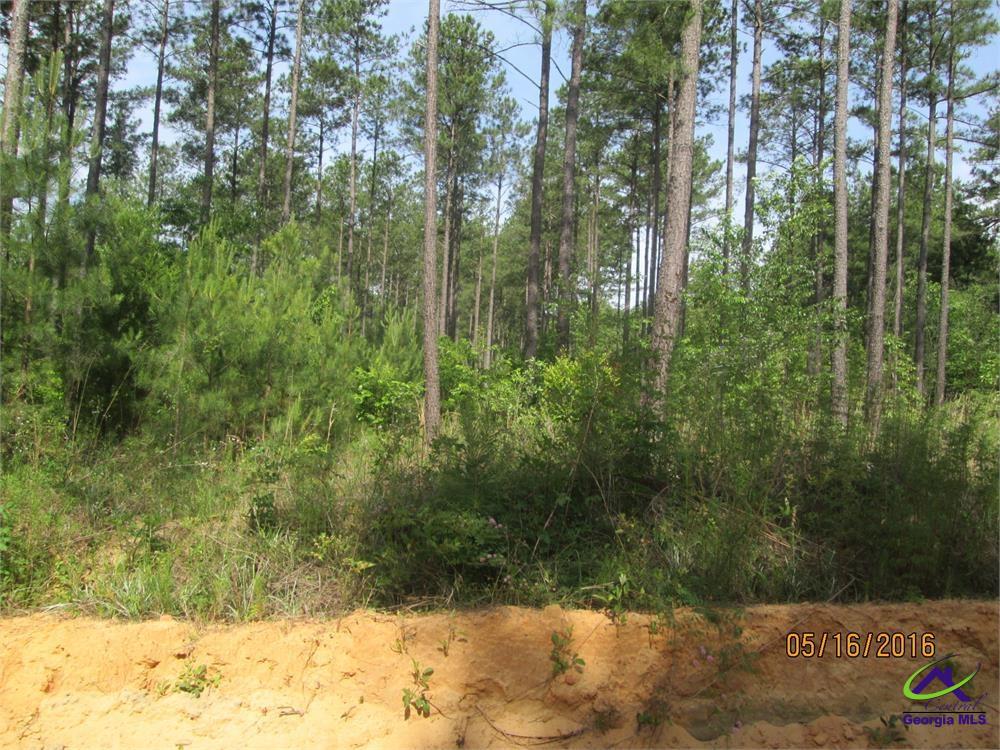 S Mount Butler, GA 31006 - Photo 1 of 1