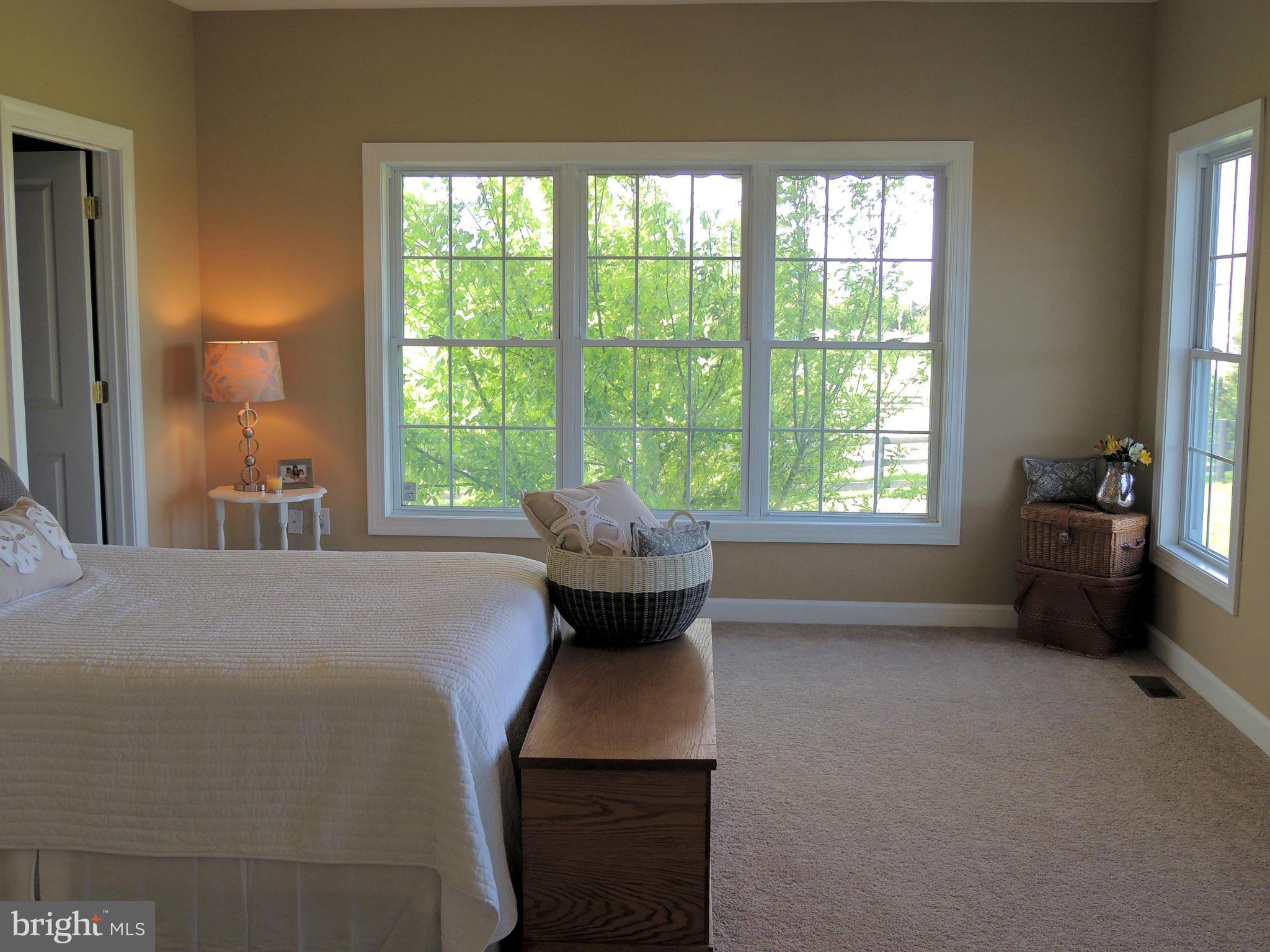 3142 Long Meadow Road Middletown, VA 22645 - Photo 22 of 28 Bedroom (Master)